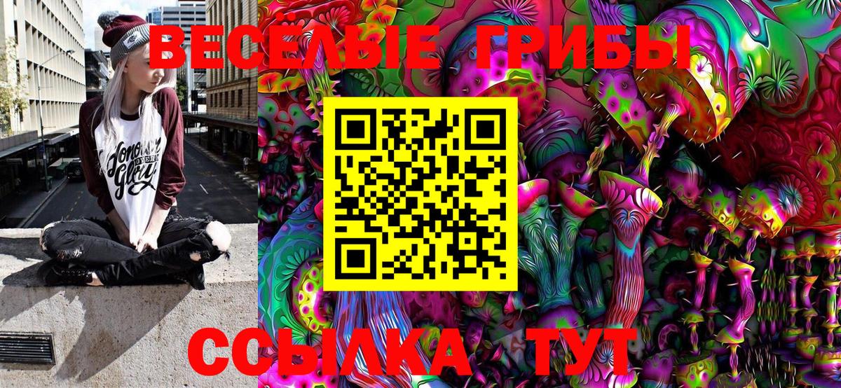 Новоалтайск  Галлюциногенные грибы MAGIC MUSHROOMS  Галлюциногенные грибы ЛСД  Вход с VPN 