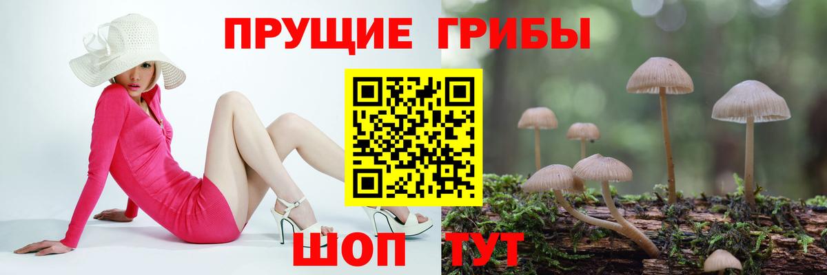 Галлюциногенные грибы GOLDEN TEACHER Новоалтайск